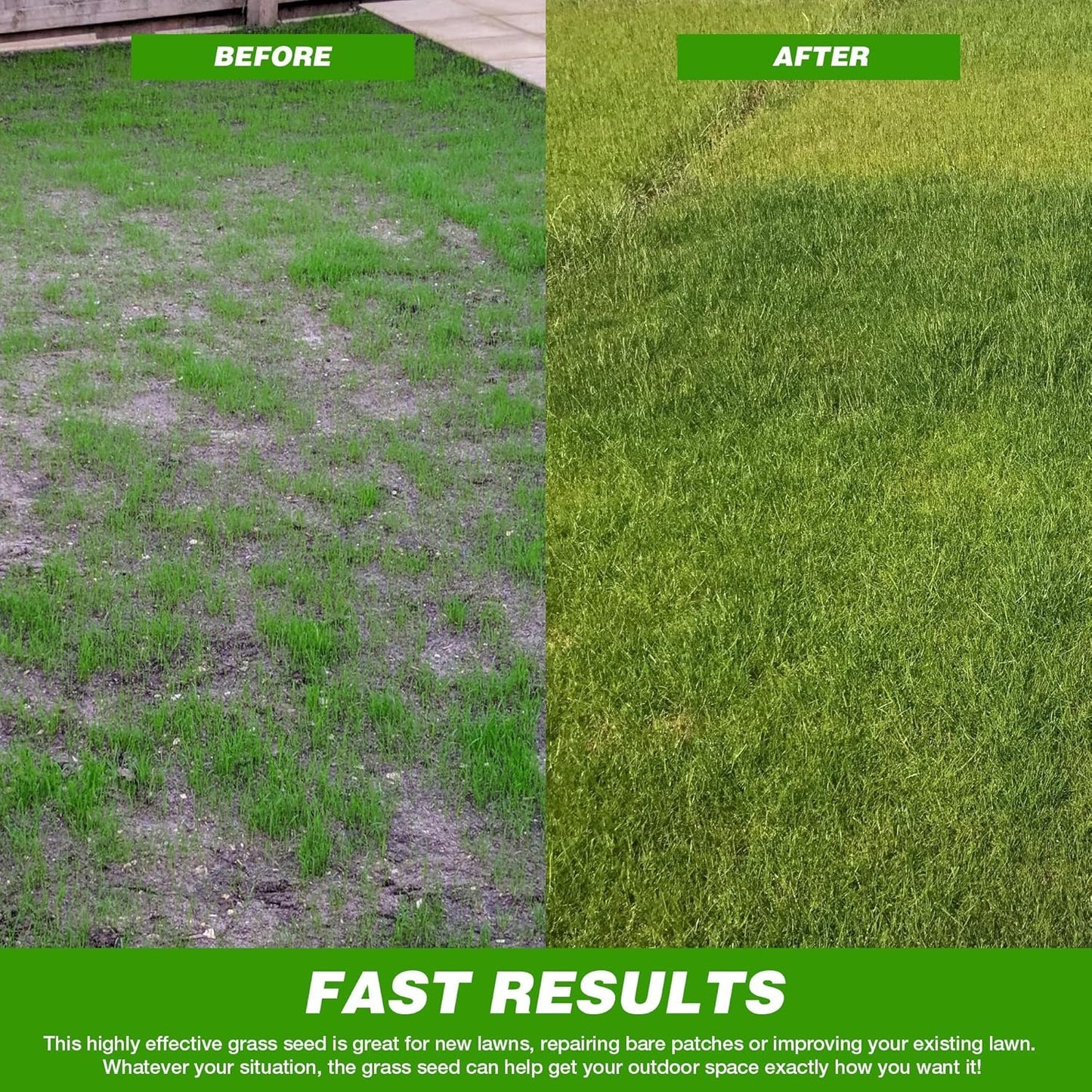 Evergreen Grass Seeds