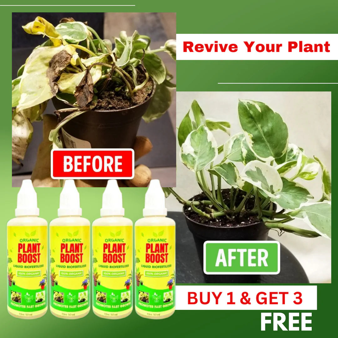 Organic Plant Boost - Faster Growth & Stronger Roots (BUY 1 GET 3 FREE)