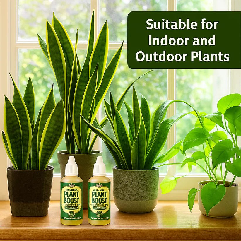 Organic Plant Boost - Faster Growth & Stronger Roots (BUY 1 GET 3 FREE)