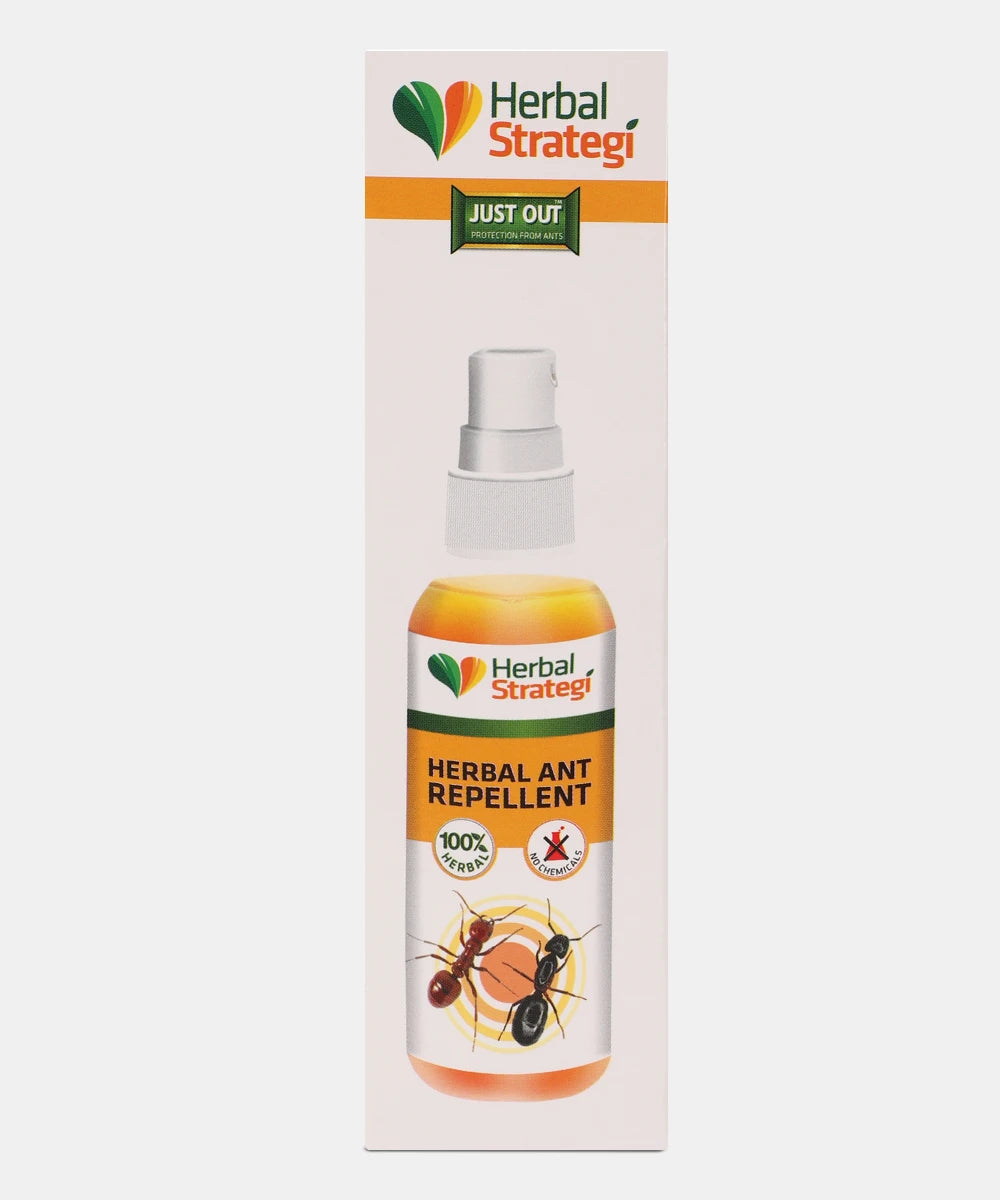 Ant Repellent Spray (Buy 1 Get 1 Free)