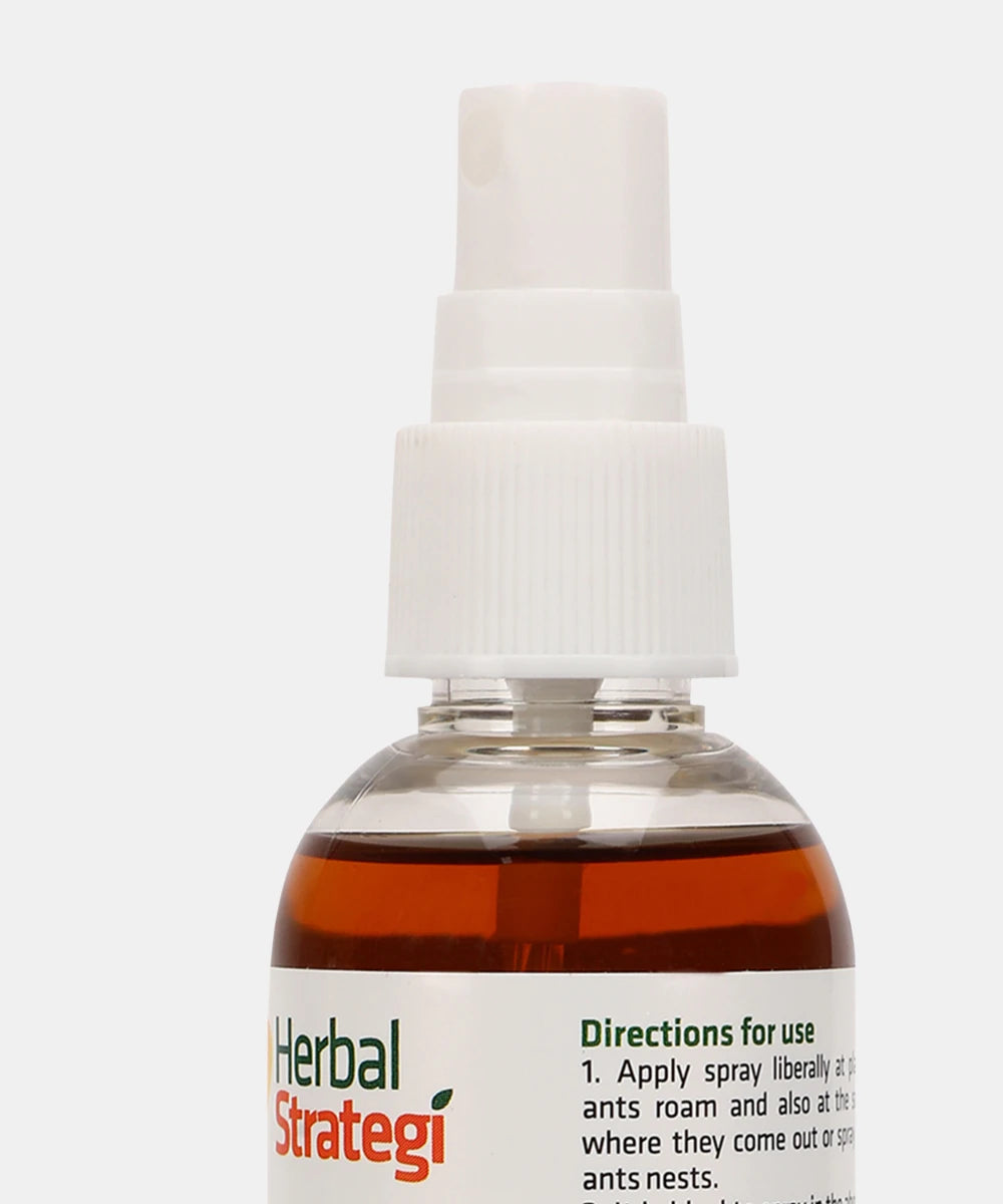 Ant Repellent Spray (Buy 1 Get 1 Free)