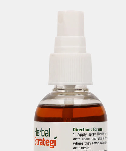 Ant Repellent Spray (Buy 1 Get 1 Free)