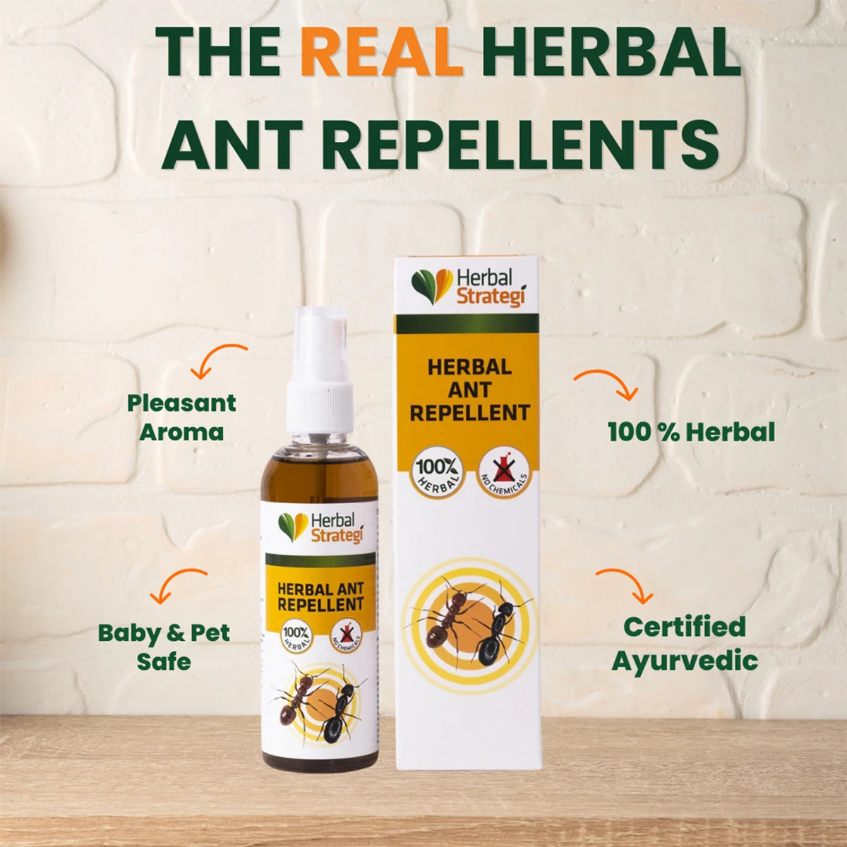 Ant Repellent Spray (Buy 1 Get 1 Free)