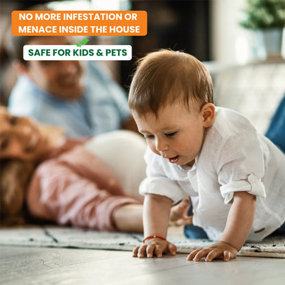 Ant Repellent Spray (Buy 1 Get 1 Free)