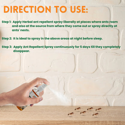 Ant Repellent Spray (Buy 1 Get 1 Free)