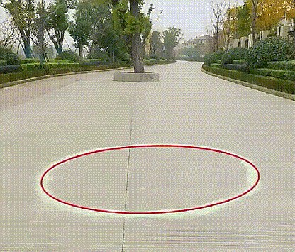 Snake Powerful Repellent Powder