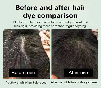Long Lasting Natural Hair Dye Shampoo (Buy 1 Get 1 Free)