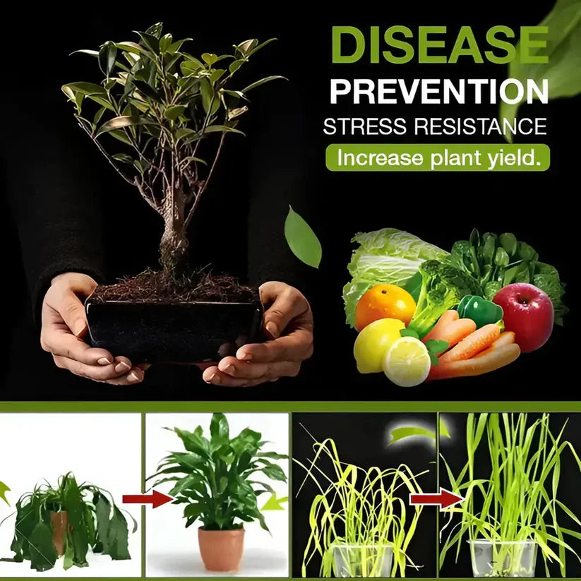 Premium Soil Activator 400g (Buy 1 Get 1 Free )