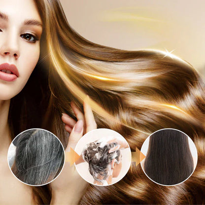 Long Lasting Natural Hair Dye Shampoo (Buy 1 Get 1 Free)
